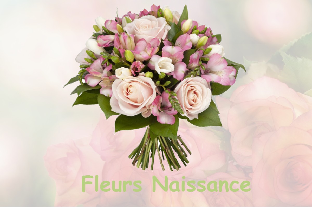 fleurs naissance MEUDON