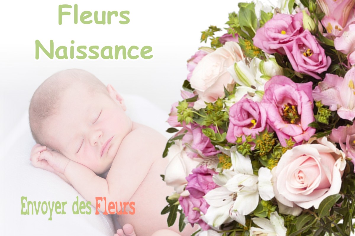 lIVRAISON FLEURS NAISSANCE à MEUDON